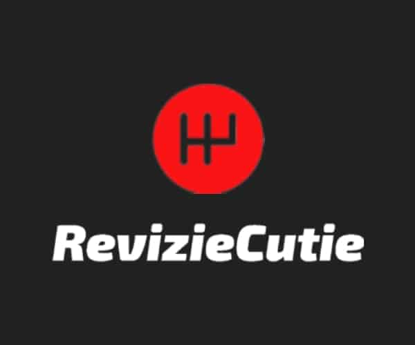 Logo Revizie Cutie